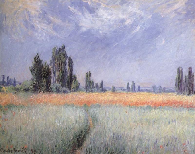 Claude Monet Wheat Field China oil painting art
